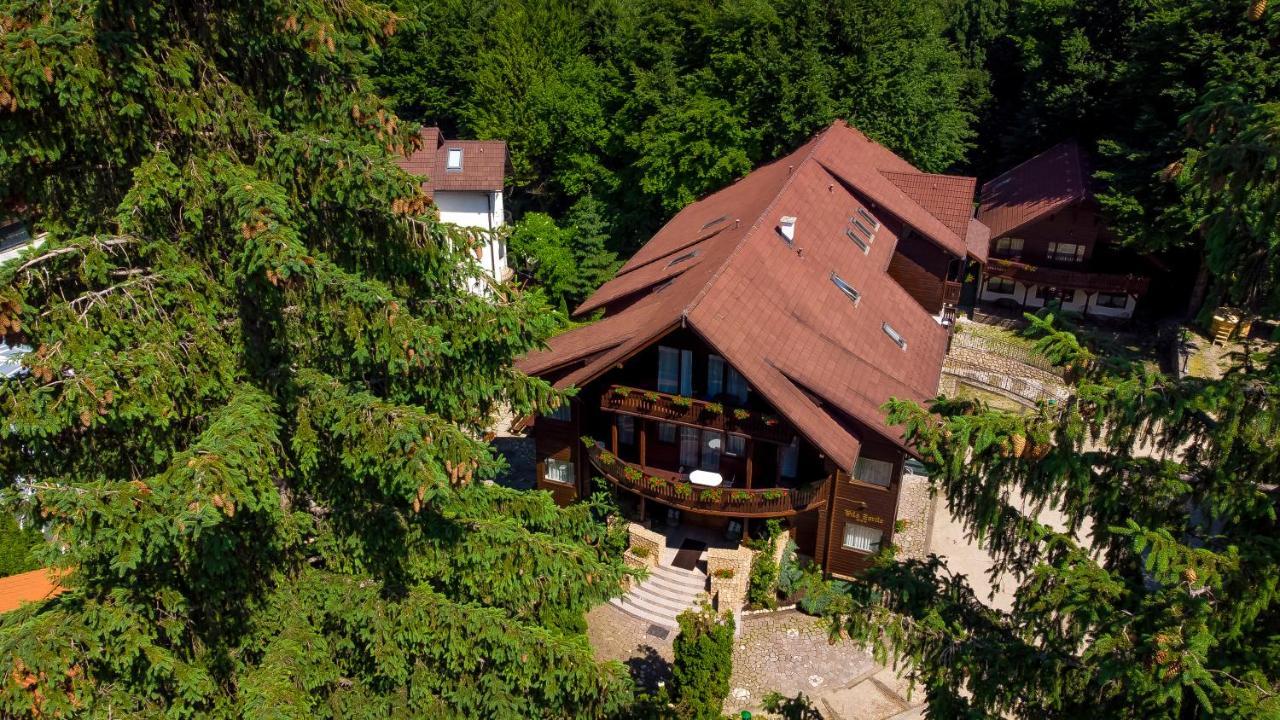 Vila Zorile Poiana Brasov Exterior photo