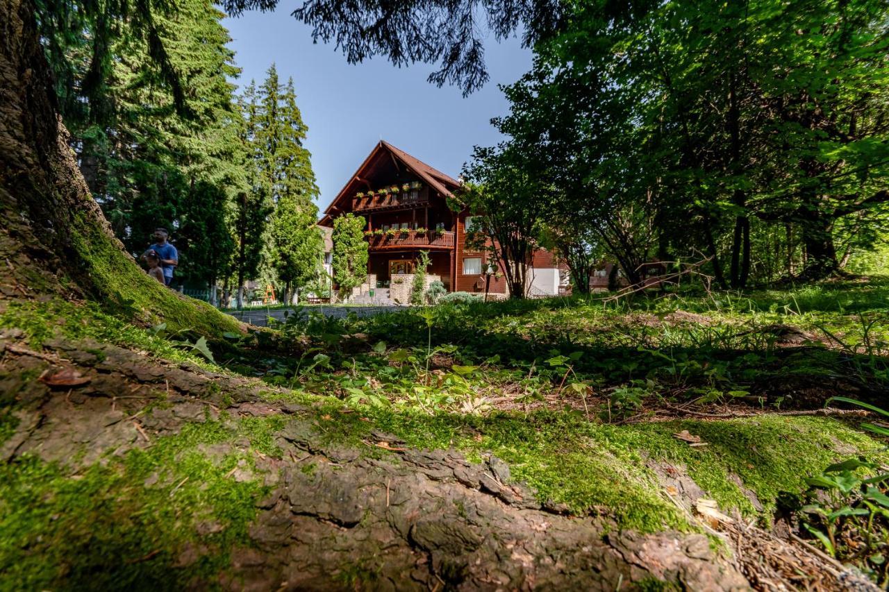 Vila Zorile Poiana Brasov Exterior photo
