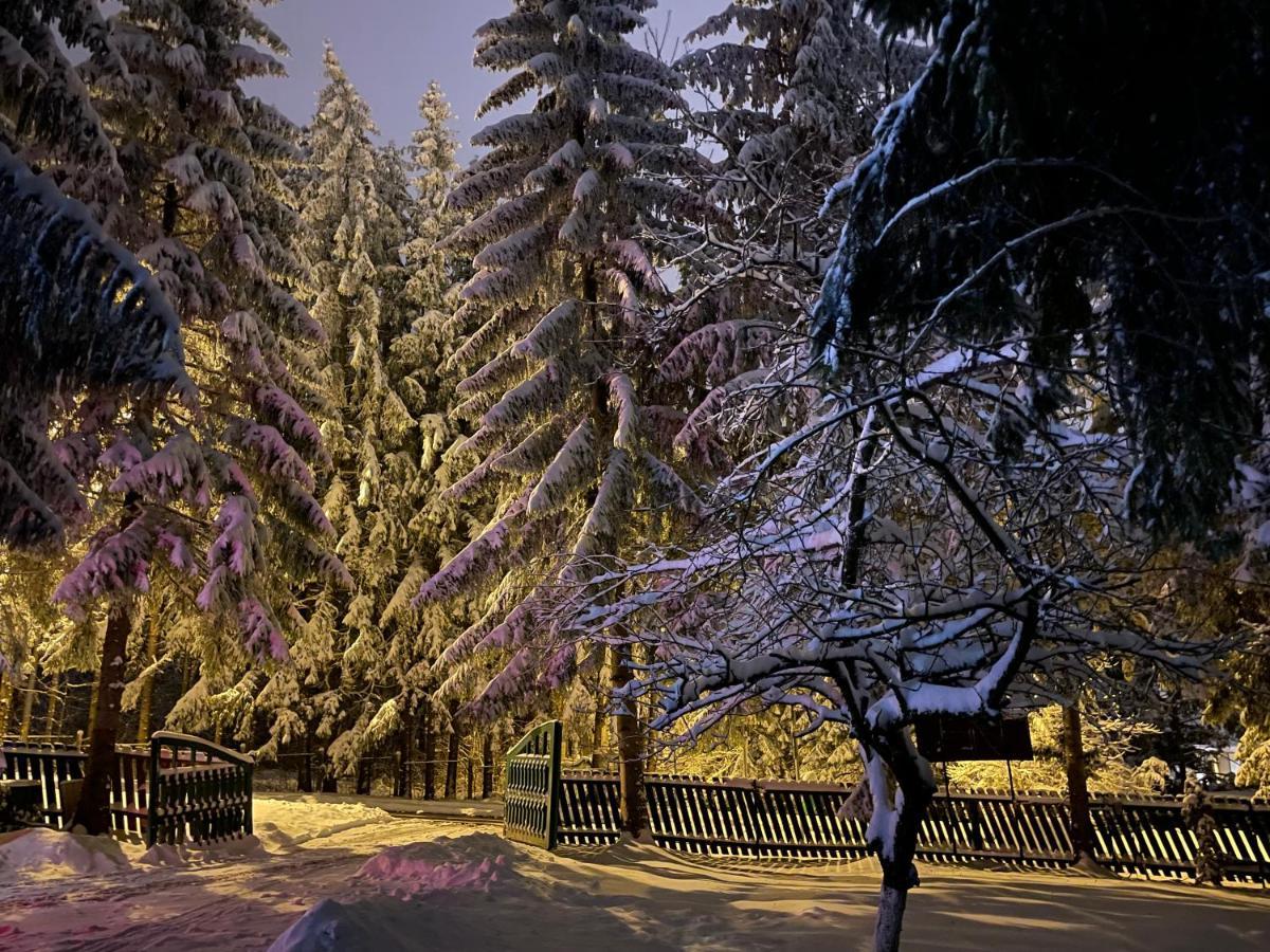Vila Zorile Poiana Brasov Exterior photo